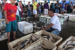 Vismarkt in Makassar