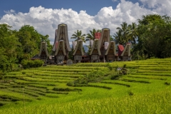 traditional village 2